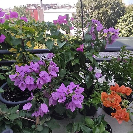 Apartman Bella Vista Rijeka Apartment Екстериор снимка